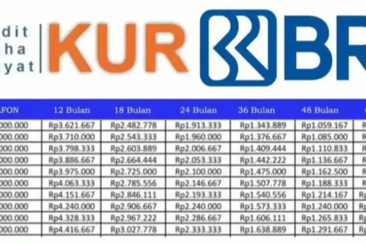 Pinjaman KUR BRI Terbaru 2025, Berikut Syarat dan Cara Pengajuan Online dan Offline