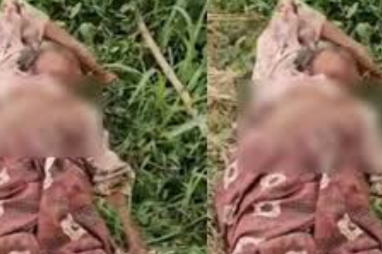 Viedo Viral Ibu Kandung Ditelantarkan Anaknya di Probolinggo, Miris Banget! Air Susu Dibalas Air Tuba