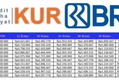 Pinjaman KUR BRI Terbaru 2025, Berikut Syarat dan Cara Pengajuan Online dan Offline