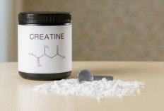 Apa itu Creatine? Manfaat Bagi Tubuh Bila Dikonsumsi dengan Benar