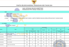 Arti Kode Honorer R2 dan R3 PPPK 2025, Ini Dia Tips dan Trik Untuk Kelulusan Peserta