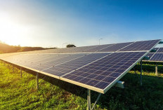 Proyek Energi Terbarukan Indonesia Ditargetkan Tercapai di Tahun 2035, Listrik Tenaga Surya Dikelola Oleh Negara