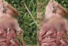 Viedo Viral Ibu Kandung Ditelantarkan Anaknya di Probolinggo, Miris Banget! Air Susu Dibalas Air Tuba
