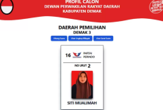 Akun IG Siti Mualimah Apa? Caleg Gagal dari Partai Perindo yang Minta Dana ke Guru Madrasah